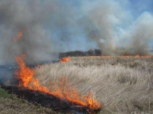 Photos taken during a prescribed burn to enhance prairie habitat.